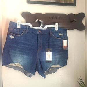 Sofia Jeans Women's Lila Mid Rise Destructed Hem Shorts, 4.5" Inseam #New